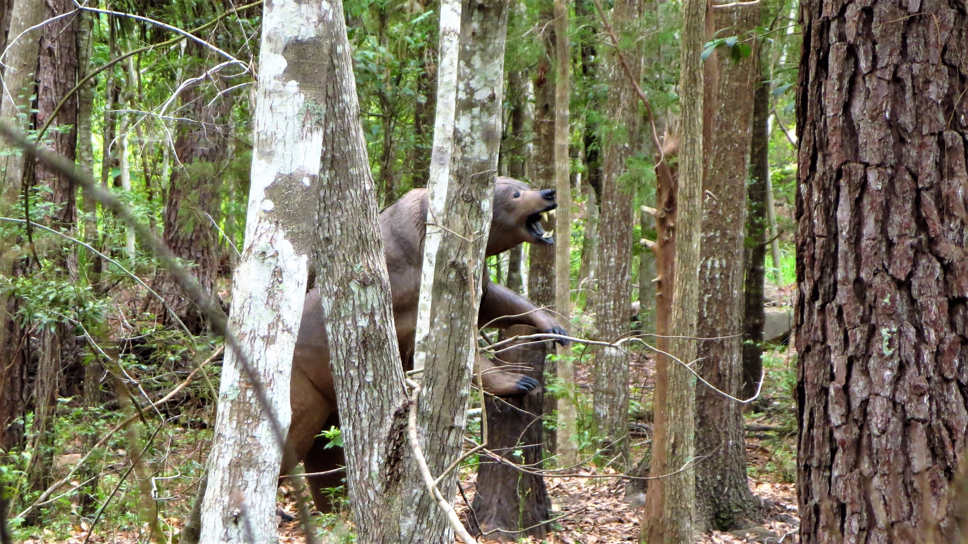 North Florida Archers Jacksonville Florida Archery