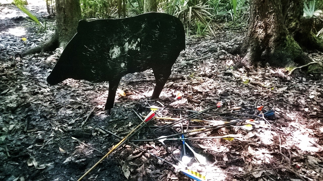 North Florida Archers Jacksonville Florida Archery