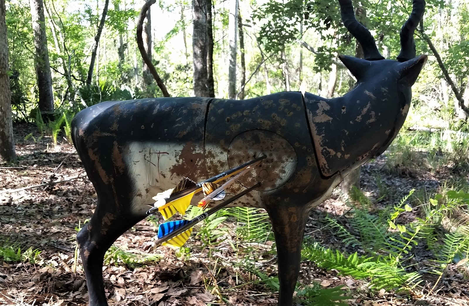 North Florida Archers Jacksonville Florida Archery